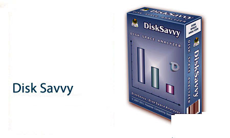 DiskSavvy Pro