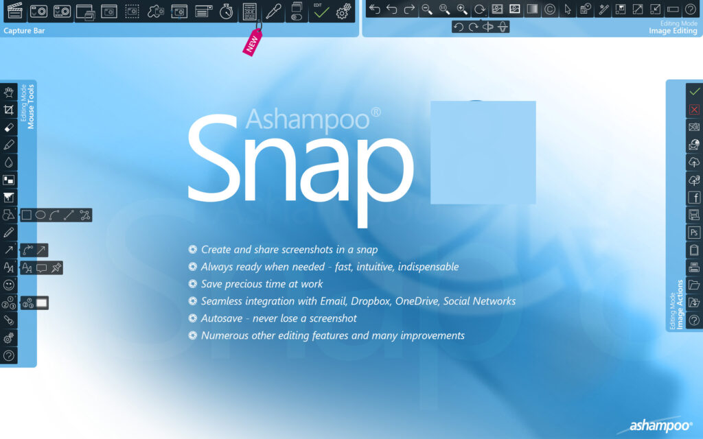 Ashampoo Snap windows