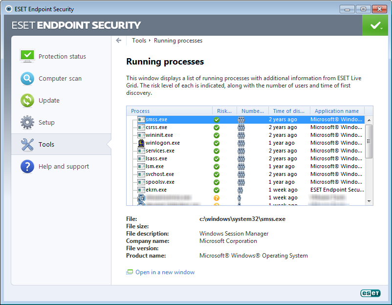 ESET Endpoint Security windows